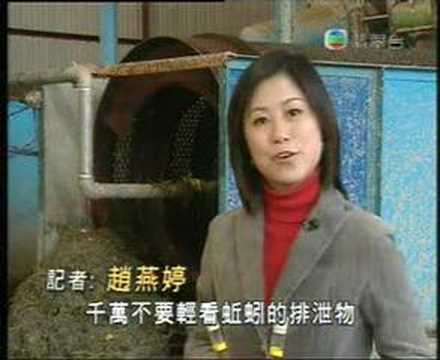 Sunburst's News TVB Chinese - YouTube