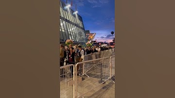 CANNES CONFIDENTIAL // SCREENINGS