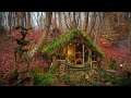 Jungle survival mastery building an epic shelter in 7 days  a sculpture from old trees