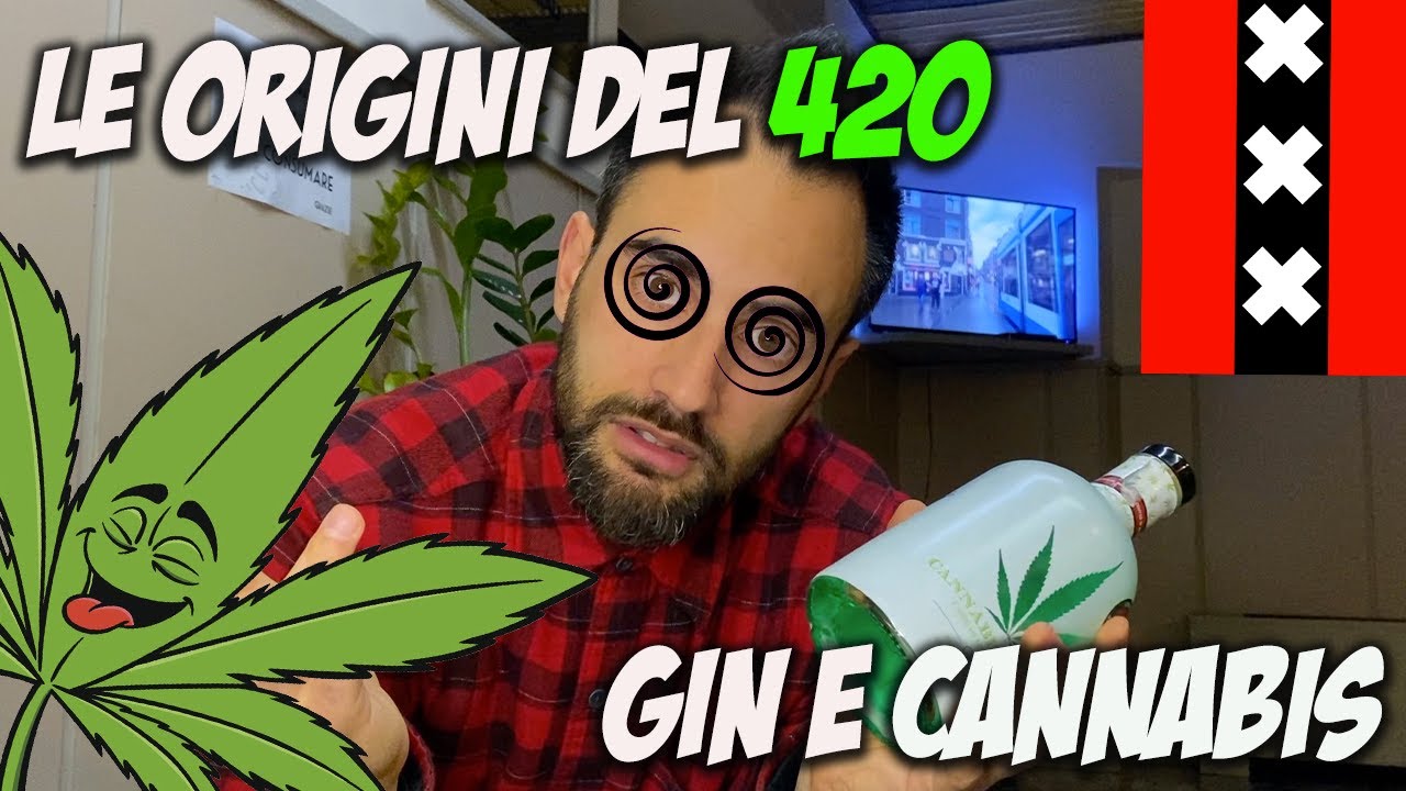 Cannabis, Gin e Leggende 🍸🍁