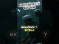 #paranormal #bestia #terrorymisterio #leyendas #mar #aterrador #youtubeshorts