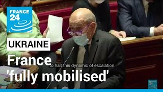 France 'fully mobilised' with partners to de-escalate Ukraine crisis, Le Drian says • FRANCE 24