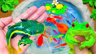 Amazing Catch Tiny Ornamental Pufferfish, Turtles, Ornamental Fish, Koi, Striped Fish, Angelfish