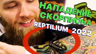 Reptilium 2022. Нападение Скорпиона !Меняю Формат Канала - Смотреть Всем!