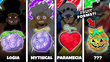 All 13 Devil Fruit Types in One Piece (Explained)