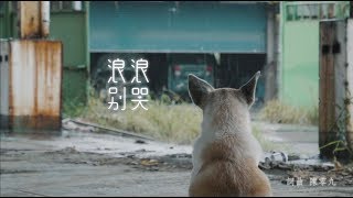 陳零九Nine Chen《浪浪別哭》｜浪浪別哭自製MV 