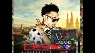 DJ jadamix Cesar aka Flex 16 dancehall Critical MIX TAP 2016