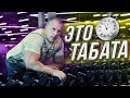 ЭТО ТАБАТА. СТАНИСЛАВ ЛИНДОВЕР