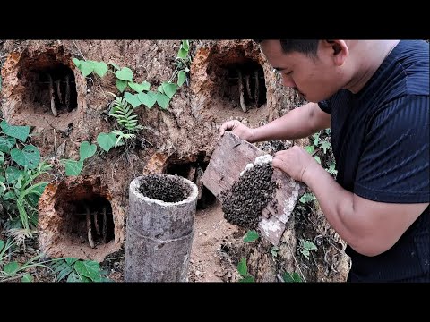 Full: Build a cave house for lovely honey bees🥰 | Tropical Forest Bees #bees  #honey