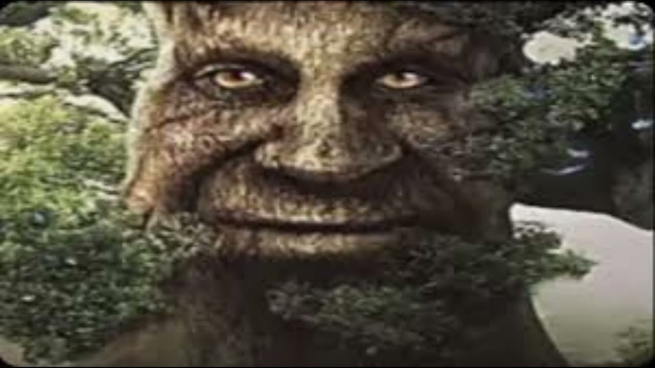 1 Hour Of Wise Mystical Tree YouTube