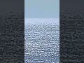 رقية حرق التابعة ام الصبيان الموروثة للسلالة الزوهرية وفصلها عن الجسد باذن الرحمان رقية حرق التابعة ام الصبيان الموروثة للسلالة الزوهرية وفصلها عن الجسد باذن الرحمان