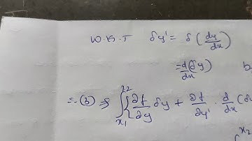 Variation of a function and Euler