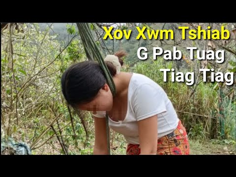 Video: Qhov zoo tshaj plaws fleet. Tsuas yog mus tom ntej?