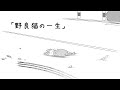 野良猫の一生【猫の絵本】