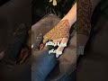 حنة العروس Mariage Event اللهم تيك توك حنة العروس Mariage Event اللهم تيك توك