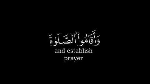 ان الذين يتلون كتاب الله واقاموا الصلاة 丨 شاشة سوداء حالات واتس اب丨القارئ: اسلام صبحي