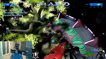 HALO!! MCC. Multiplayer Meltdown