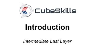 Intermediate Last Layer - Introduction