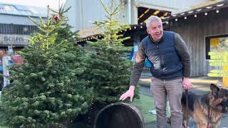 Christmas Tree Stand Kentucky Bourbon Half Barrel