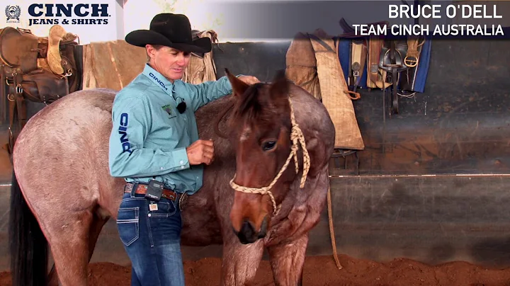 Cinch Australia - Team Tip - Bruce O'Dell - Mouthing