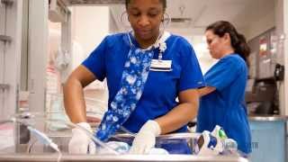 Become a Harris Health Champion