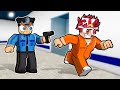 I Escaped PRISON in Roblox Brookhaven..