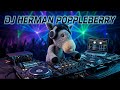 DJ Herman Poppleberry - March 2026 Set