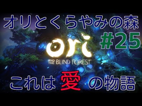 #25最終回(前編)【実況】オリは愛の物語、ついに感動のエンディングを迎える【Ori and the Blind Forest:DE】