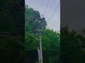 sorgamey endralum song ilayaraja