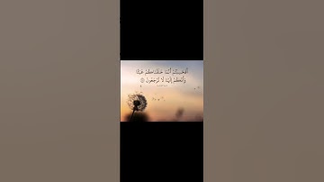 ﴿أَفَحَسِبتُم أَنَّما خَلَقناكُم عَبَثًا وَأَنَّكُم إِلَينا لا تُرجَعونَ﴾ القارئ اسلام صبحي