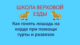 Работа лошади на корде при помощи гурты и развязок Работа лошади на корде при помощи гурты и развязок