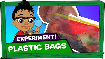 Kid Experiments: Plastic Bags - Darwin and Newts