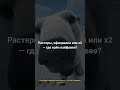 Растеры, официалка или х2 — где вайп кайфовее?
