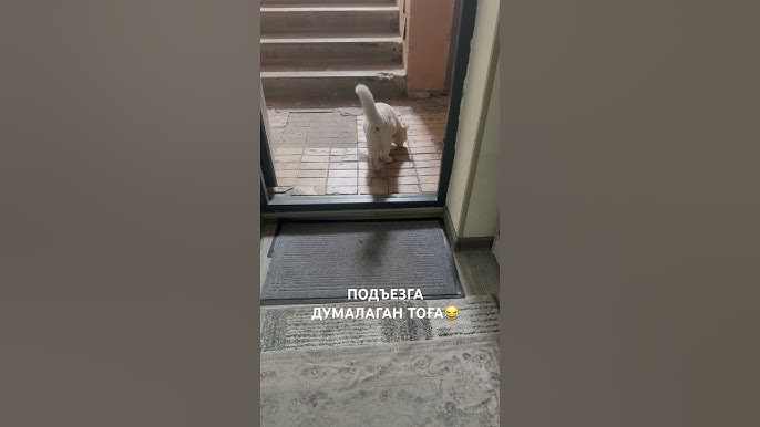 Soqolsiz onanizm qilish usullari