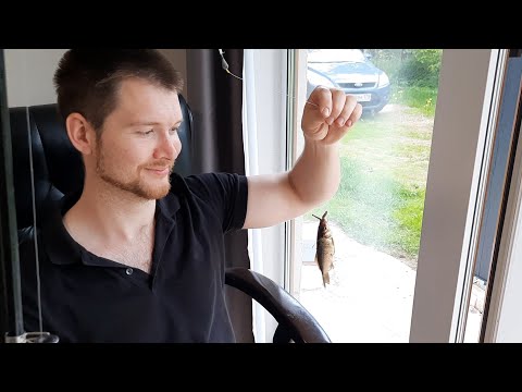 РЫБАЧУ ИЗ ГОСТИНОЙ! Как сделал пруд и мост