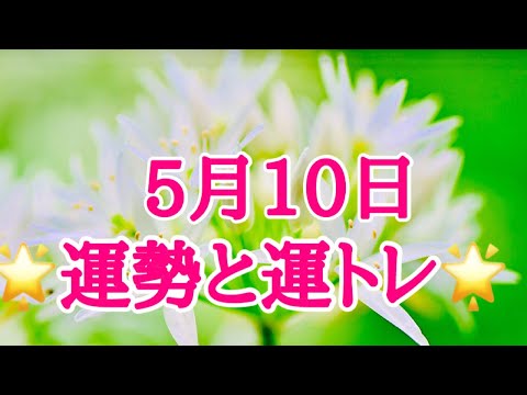 お祝い メール 昇進 お祝い メール 昇進