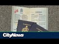 Whatever happened to the plan for online passport renewal in canada