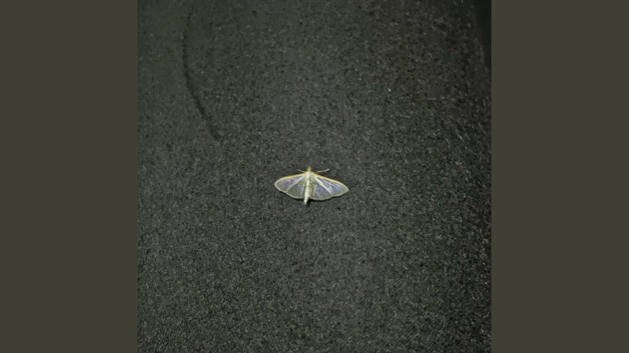 The Mythic War (DEMO)