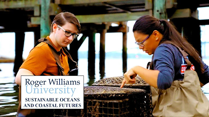 Sustainable Oceans and Coastal Futures at RWU | The College Tour