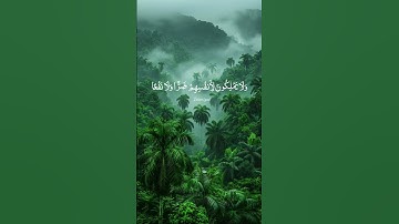 #توفيق_الصائغ #خشوع #تلاوة_خاشعة #آية #القرآن_الكريم #القرآن #قرآن #تدبر #سورة_الفرقان