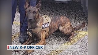 New K9 Officer at Brownsville PD