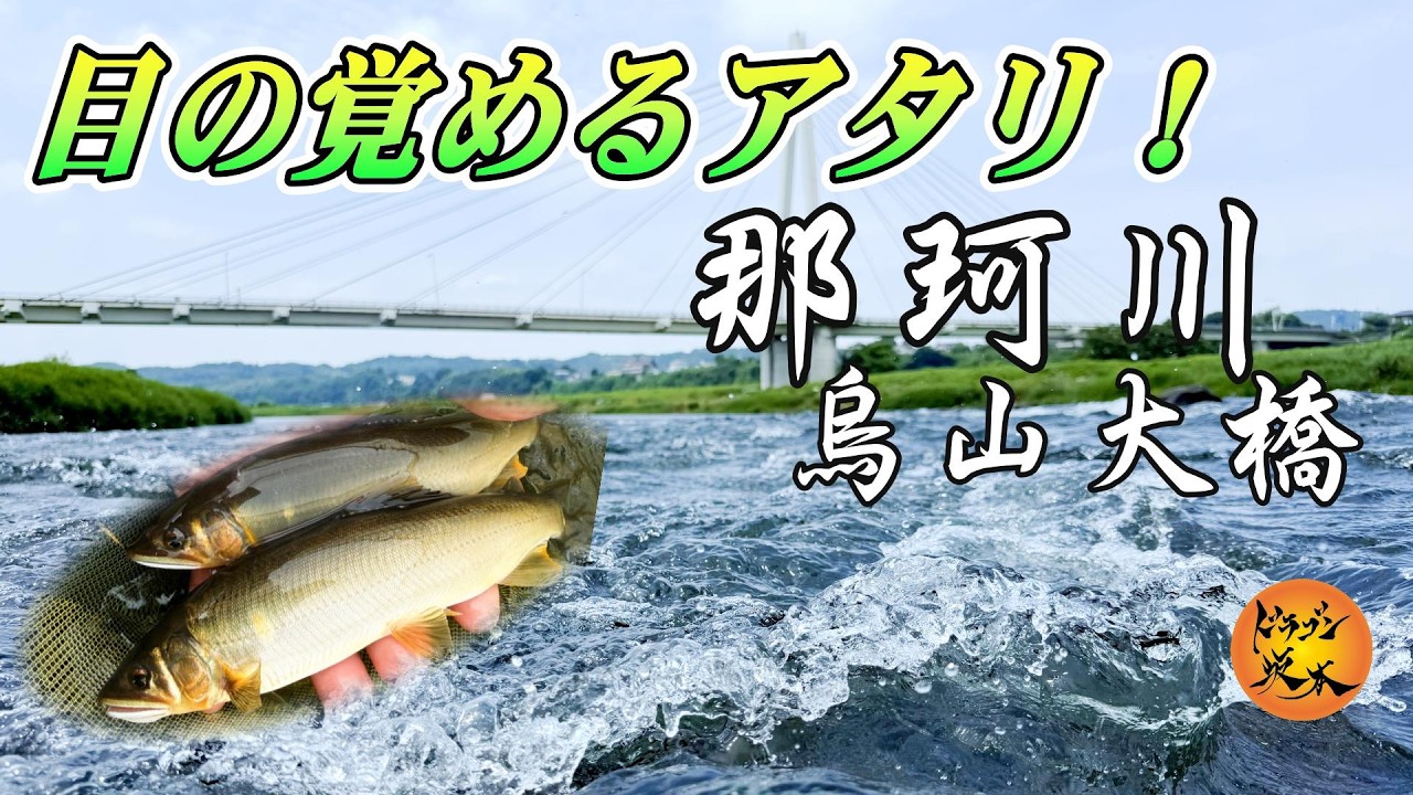 アユ釣りマガジン on sight