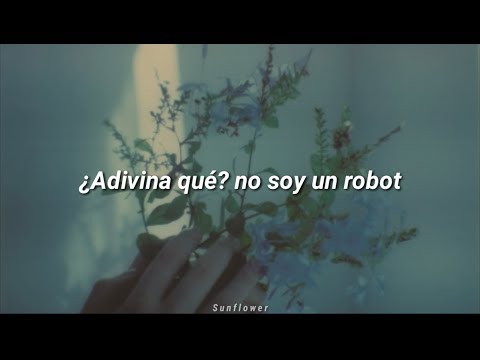 I'm Not A Robot - Marina And The Diamonds (Subtitulada)