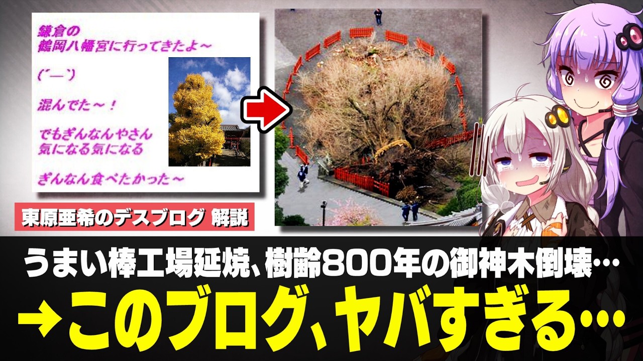 東原亜希のデスブログ　解説