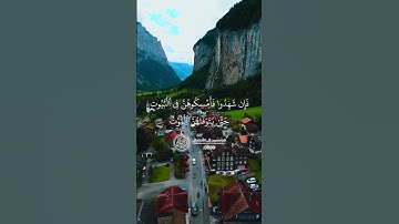 ماهر المعيقلي - سورة النساء ( برواية حفص عن عاصم ) الأية 15