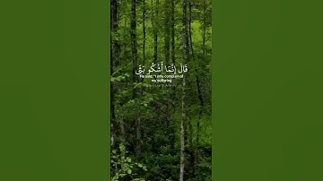 قال إنما أشكوا بثي وحزني إلى الله. ماتيسر من سورة يوسف بصوت القارئ إسلام صبحي