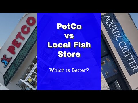 PetCo vs. My Local Fish Store (Aquatic Critter) - WHO WON???