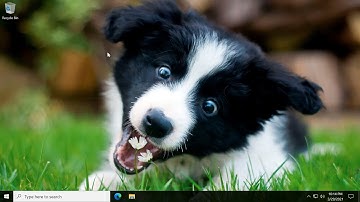 2021-03-29 BazaCall (BazarCall) Example