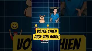 Vous l'aviez remarqué ?? #veterinaire #chiens #chien #chat #animaux #science #animals #animal