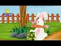 Hello mr bunny  english nursery rhymes  english kids songs